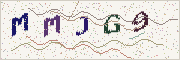 Güvenlik kodu