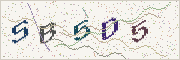 Güvenlik kodu