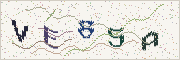 Güvenlik kodu