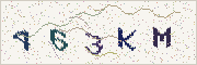 Güvenlik kodu