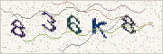 Güvenlik kodu