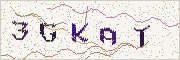Güvenlik kodu