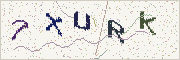 Güvenlik kodu