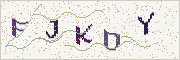Güvenlik kodu