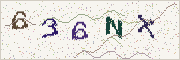 Güvenlik kodu