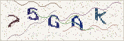 Güvenlik kodu