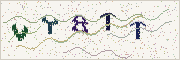 Güvenlik kodu