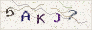 Güvenlik kodu