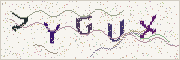 Güvenlik kodu