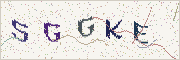 Güvenlik kodu