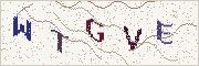 Güvenlik kodu