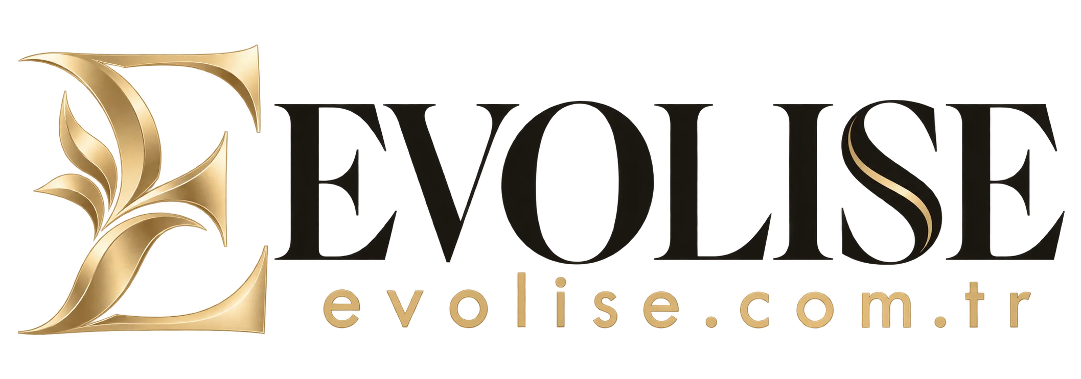 Evolise